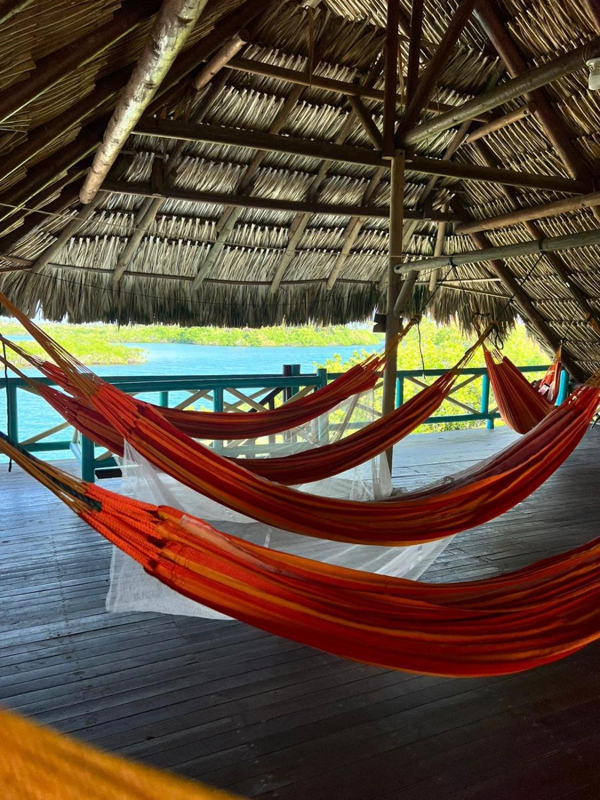 El Arca Tintipan Island Exterior foto